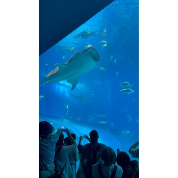 夏休み【加藤】 | 艶髪であなたの「なりたい」を叶える美容室 - 艶髪であなたの「なりたい」を叶える美容室